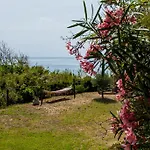 Saline Palinuro