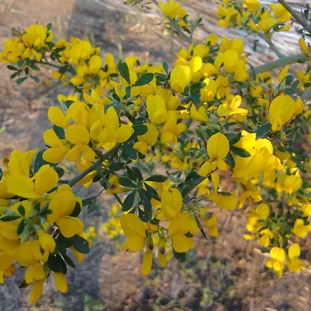 Saline * Palinuro