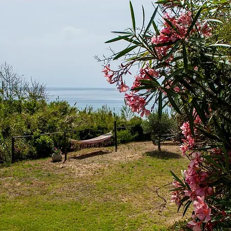 Saline Palinuro