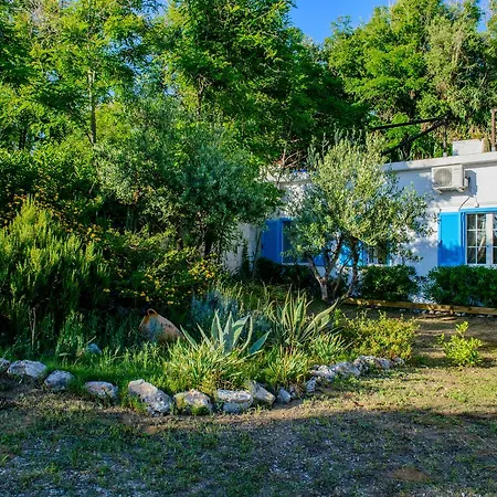 Saline * パリヌロ